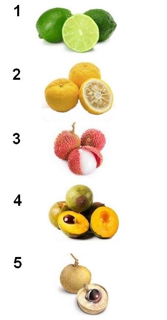 Fruit en l
