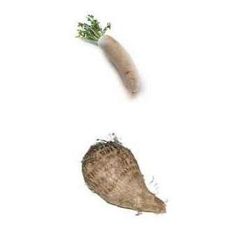 Légume en d